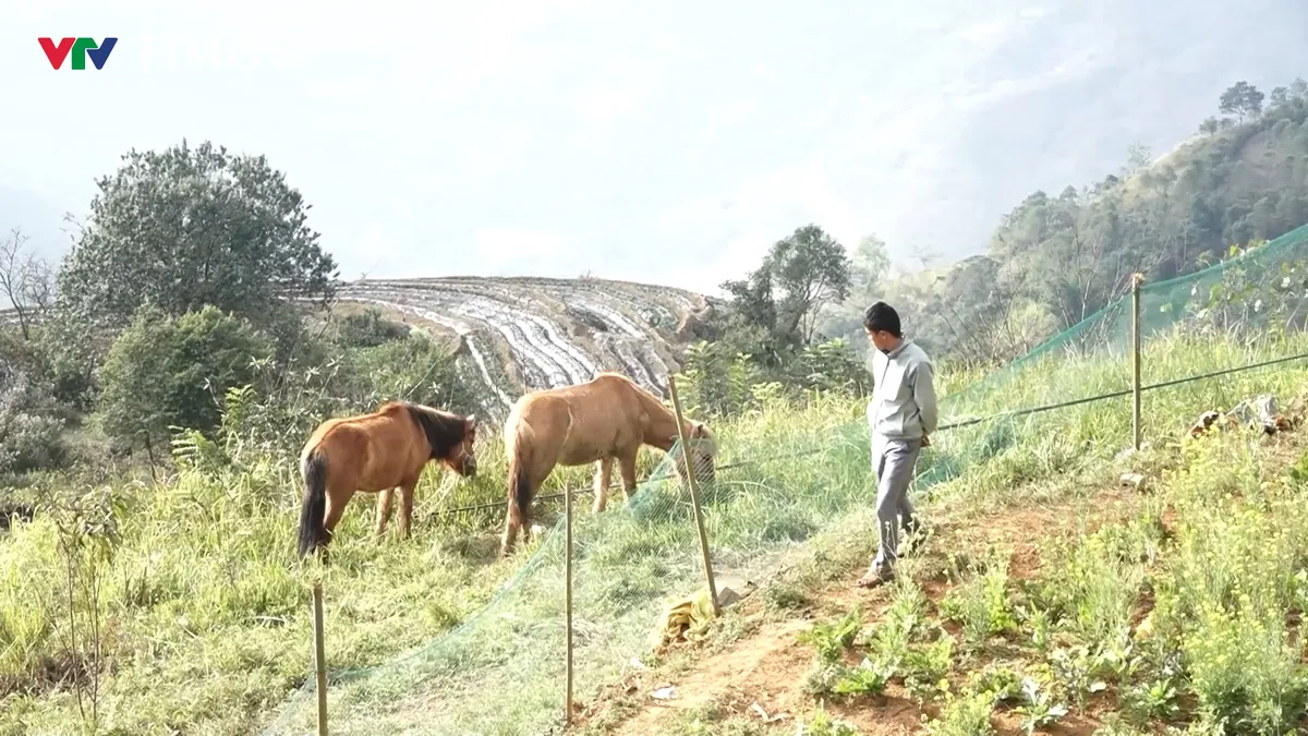 Lai Ch&acirc;u: Sinh kế bền vững từ những c&aacute;ch l&agrave;m s&aacute;t thực tiễn ở D&agrave;o San - Ảnh 5.