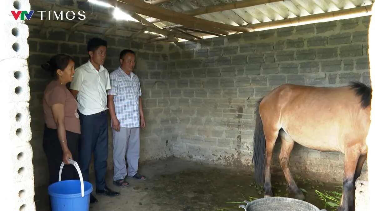 Lai Ch&acirc;u: Sinh kế bền vững từ những c&aacute;ch l&agrave;m s&aacute;t thực tiễn ở D&agrave;o San - Ảnh 6.