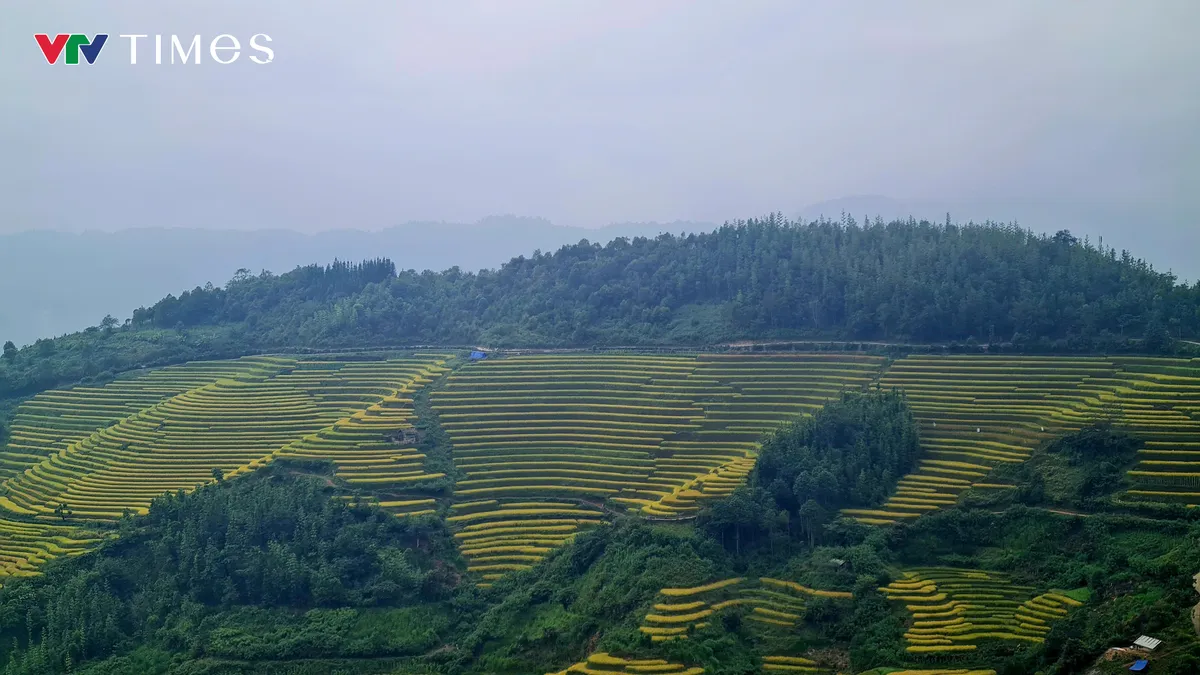 Lai Ch&acirc;u: Sinh kế bền vững từ những c&aacute;ch l&agrave;m s&aacute;t thực tiễn ở D&agrave;o San - Ảnh 4.