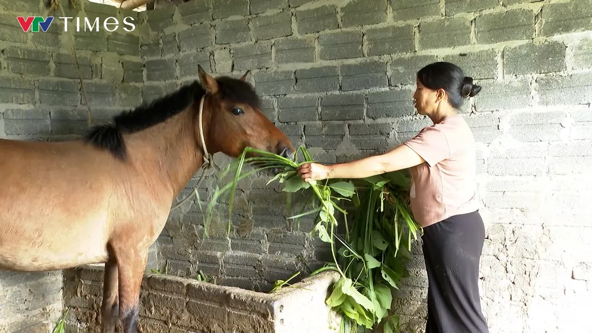 Lai Ch&acirc;u: Sinh kế bền vững từ những c&aacute;ch l&agrave;m s&aacute;t thực tiễn ở D&agrave;o San - Ảnh 7.