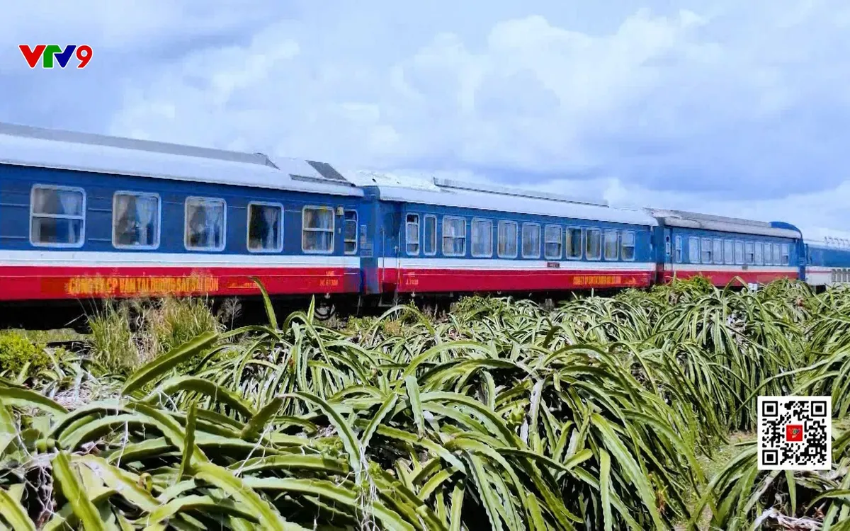 Đề xuất đầu tư để cải tạo đường sắt Hà Nội - TP. Hồ Chí Minh