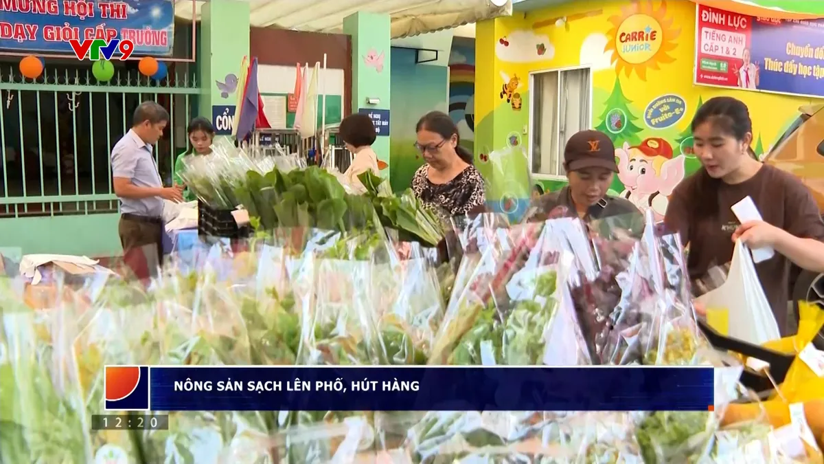 TP. Hồ Chí Minh rau sạch lên thành phố cháy hàng