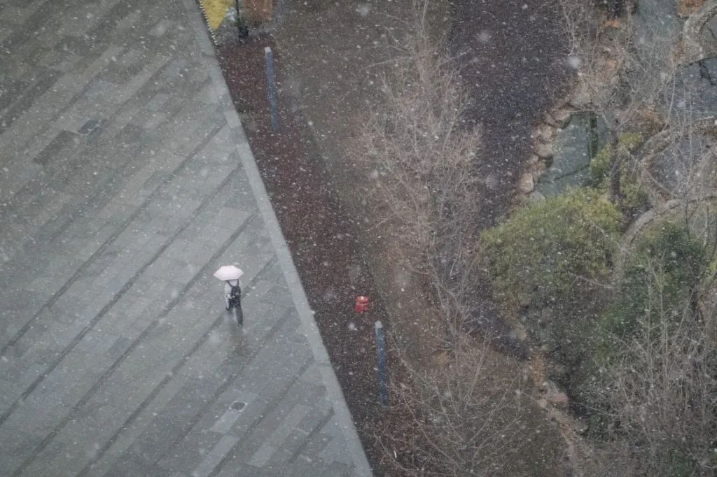 Kh&ocirc;ng kh&iacute; lạnh g&acirc;y tuyết rơi hiếm gặp tại Thượng Hải - Ảnh 1.