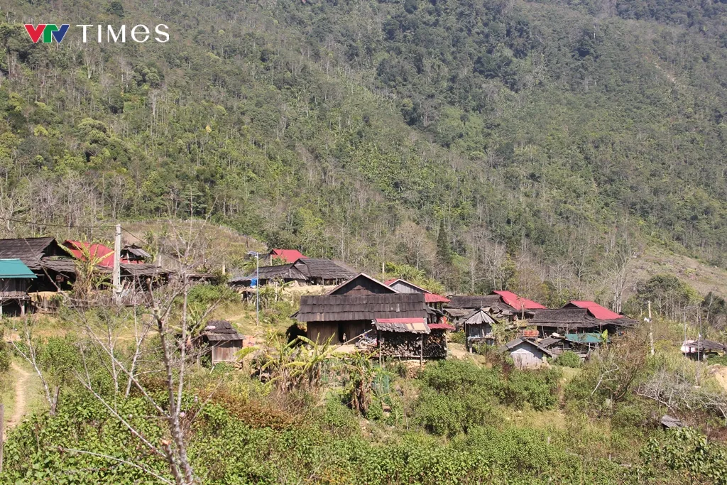 &lsquo;Trồng người&rsquo; tr&ecirc;n đỉnh Huồi Măn- Ảnh 9.