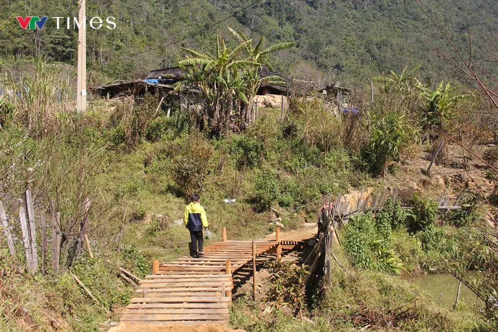 &lsquo;Trồng người&rsquo; tr&ecirc;n đỉnh Huồi Măn- Ảnh 10.