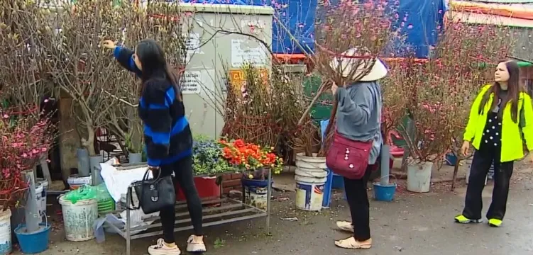 Hà Nội: Thị trường hoa Tết sôi động sớm - Ảnh 2.