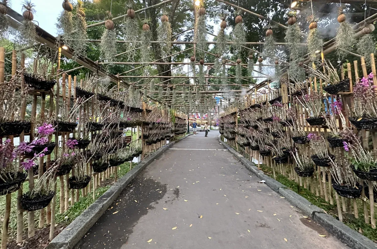 Sẽ c&oacute; chiếu phim ngo&agrave;i trời v&agrave; tr&igrave;nh diễn mapping tại Hội hoa xu&acirc;n Tao Đ&agrave;n Tết B&iacute;nh Ngọ- Ảnh 4.