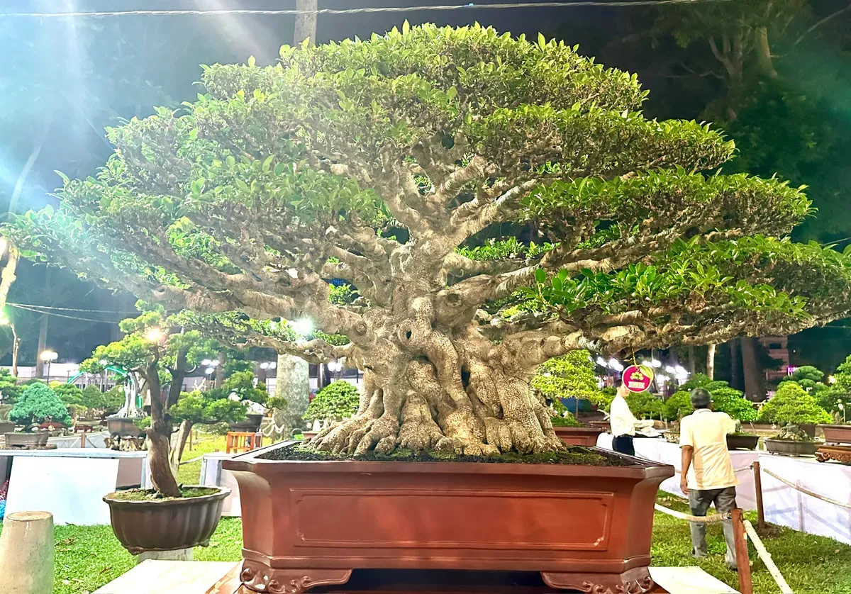 Sẽ c&oacute; chiếu phim ngo&agrave;i trời v&agrave; tr&igrave;nh diễn mapping tại Hội hoa xu&acirc;n Tao Đ&agrave;n Tết B&iacute;nh Ngọ- Ảnh 3.