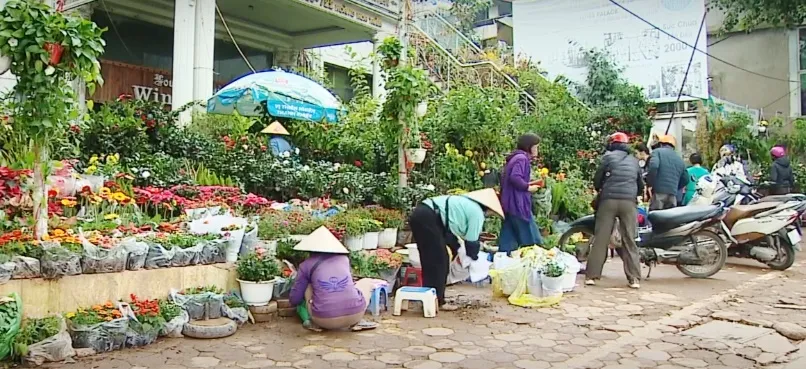 Hà Nội: Thị trường hoa Tết sôi động sớm - Ảnh 1.