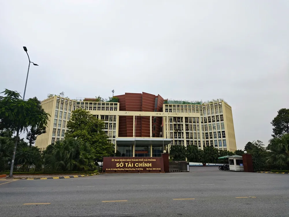 Hải Ph&ograve;ng hỗ trợ doanh nghiệp gia nhập thị trường th&ocirc;ng qua nền tảng số- Ảnh 2.