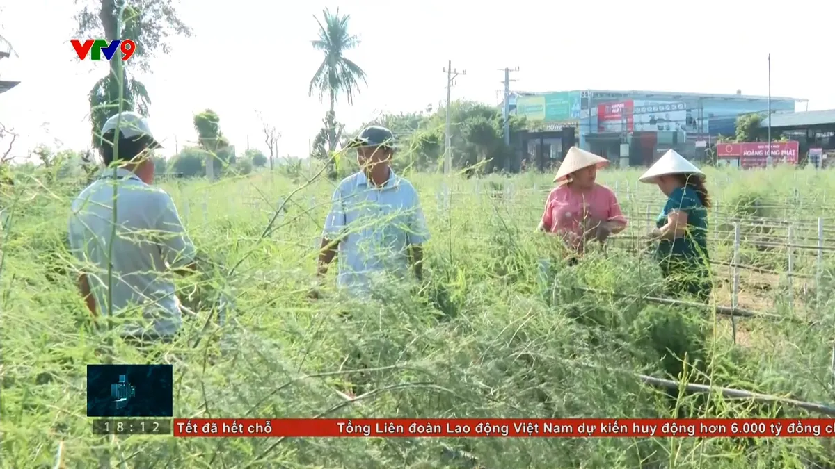 Tận tụy đưa Nghị quyết đảng về cơ sở