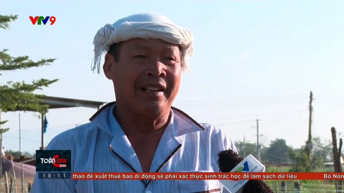 tc24h-2101-2 kiều dễ.jpg