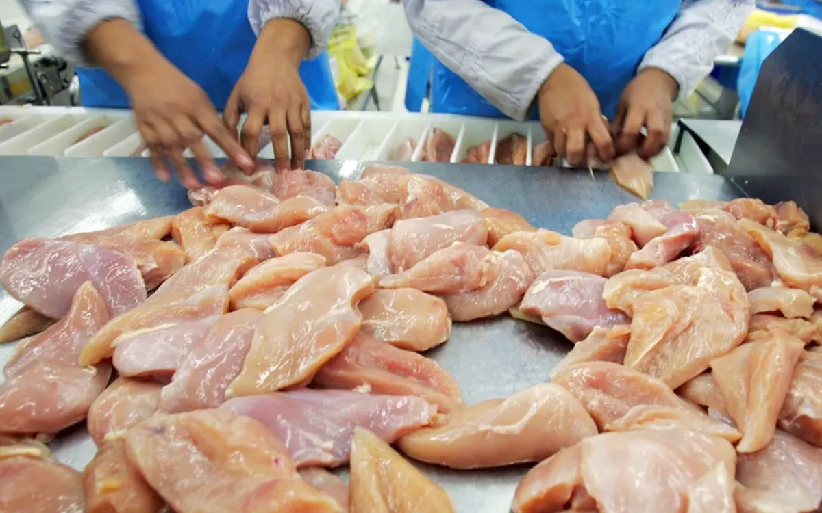 (Ảnh: Getty Images)