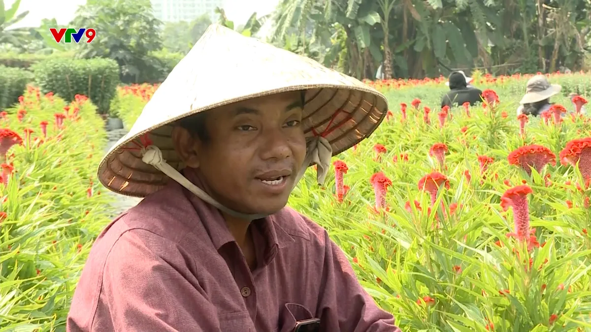 2101-PNHN-BO HOA.jpg