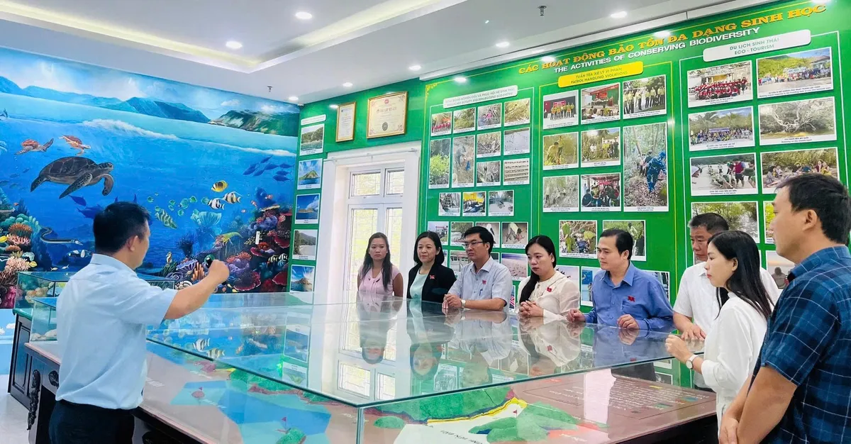 Nguồn thu ph&iacute; tham quan danh lam thắng cảnh VQG C&ocirc;n Đảo đ&atilde; đem lại hiệu quả thiết thực  - Ảnh 1.