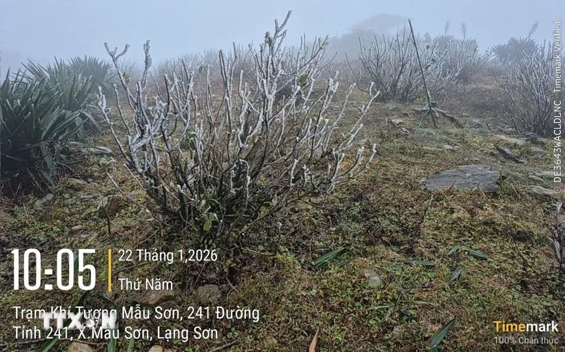 Tại Mẫu Sơn nhiệt độ thấp nhất là 2-4 độ. (Ảnh: TTXVN phát)