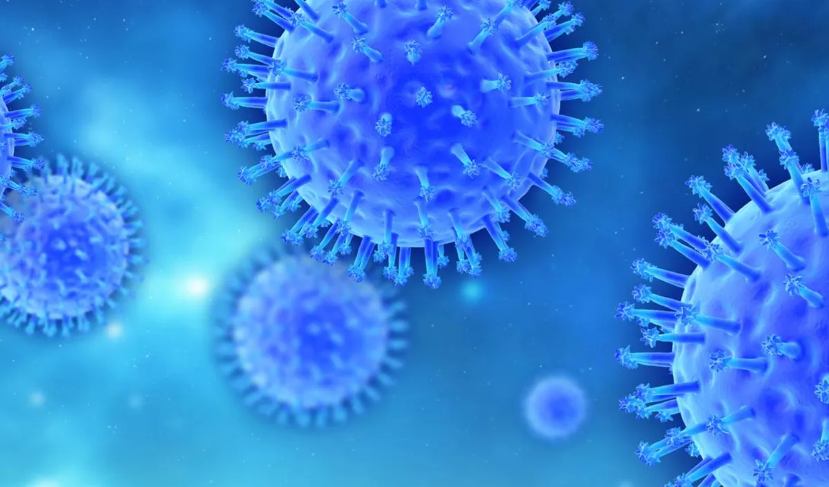 Biến thể virus mới l&agrave;m gia tăng mạnh số ca mắc c&uacute;m tại Mỹ v&agrave; Canada - Ảnh 1.