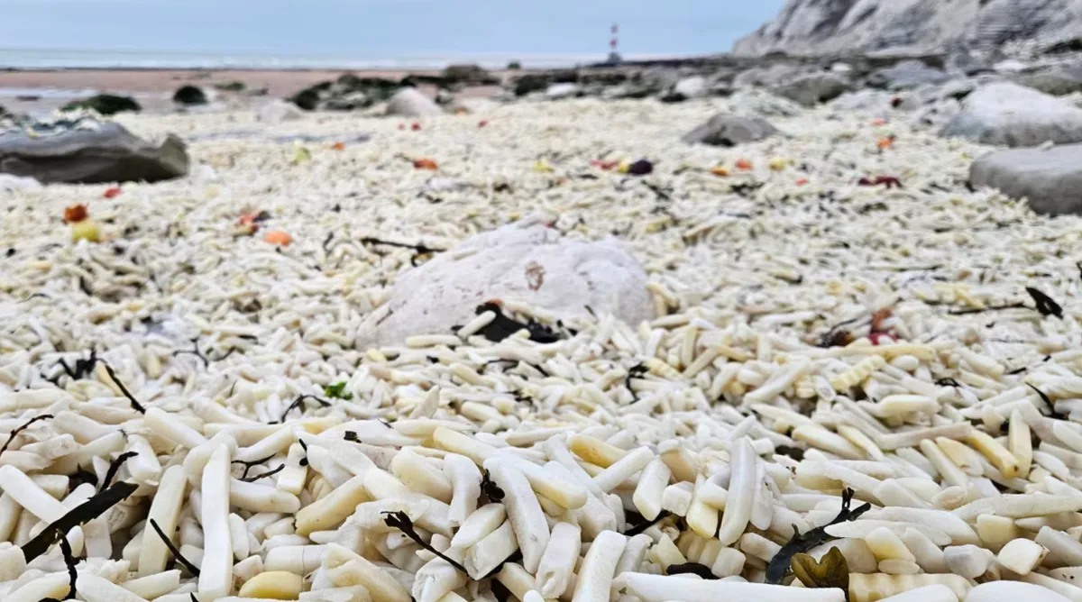 H&agrave;ng ng&agrave;n t&uacute;i khoai t&acirc;y chi&ecirc;n v&agrave; h&agrave;nh t&acirc;y tr&ocirc;i dạt v&agrave;o bờ biển Anh - Ảnh 1.