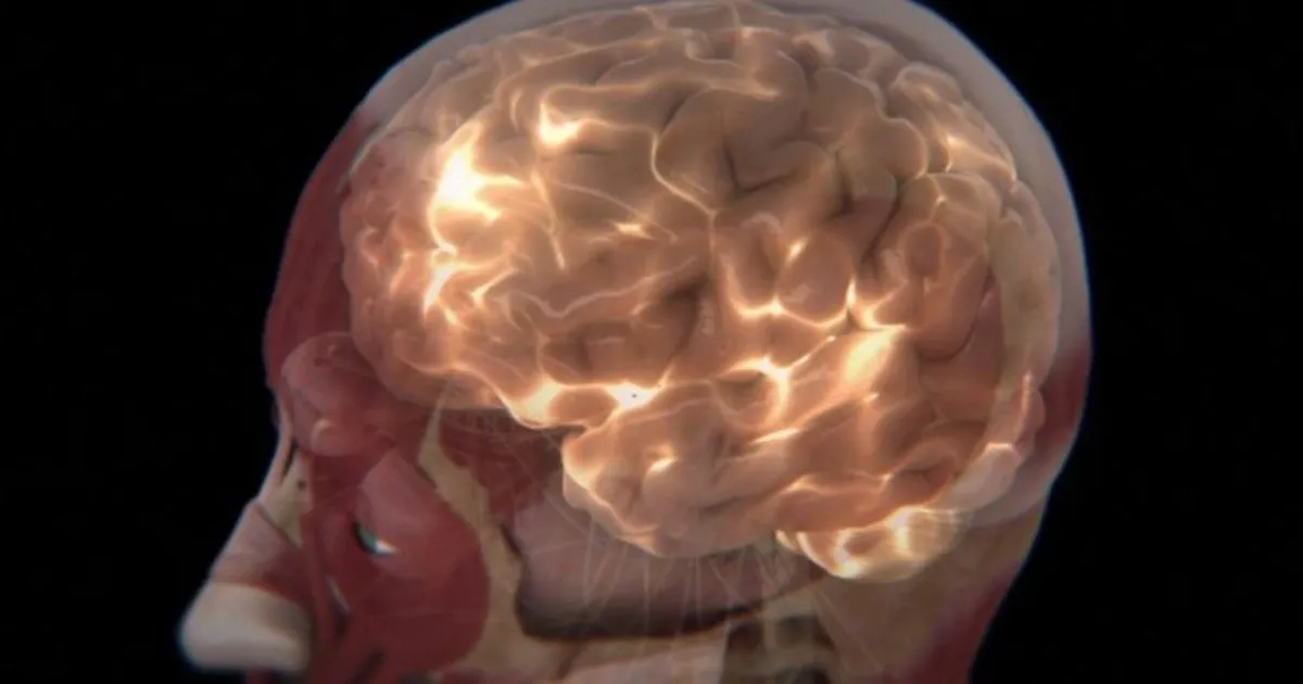 &Aacute;nh s&aacute;ng v&agrave; vai tr&ograve; thiết yếu trong điều h&ograve;a hoạt động của n&atilde;o bộ- Ảnh 1.