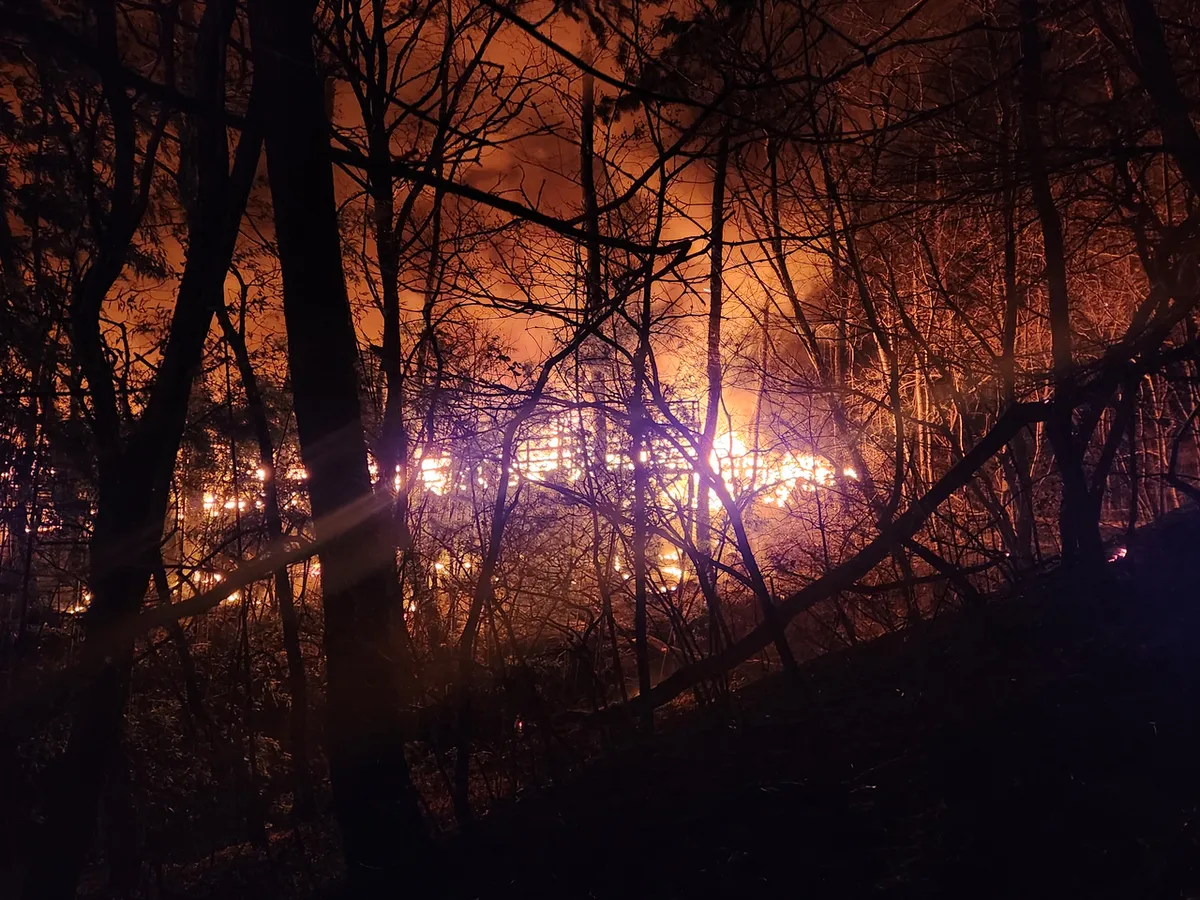 Ch&aacute;y rừng nghi&ecirc;m trọng ở H&agrave;n Quốc - Ảnh 1.