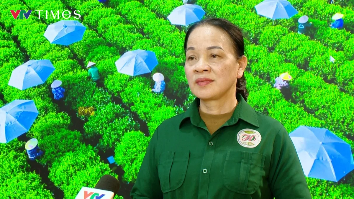 HTX ch&egrave; Hảo Đạt chuyển m&igrave;nh nhờ khoa học v&agrave; c&ocirc;ng nghệ - Ảnh 1.