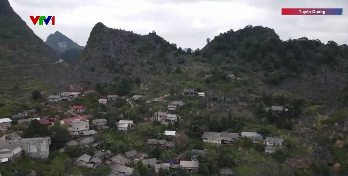 Người dân vùng cao Tuyên Quang chủ động phòng, chống rét đậm, rét hại - Ảnh 3.