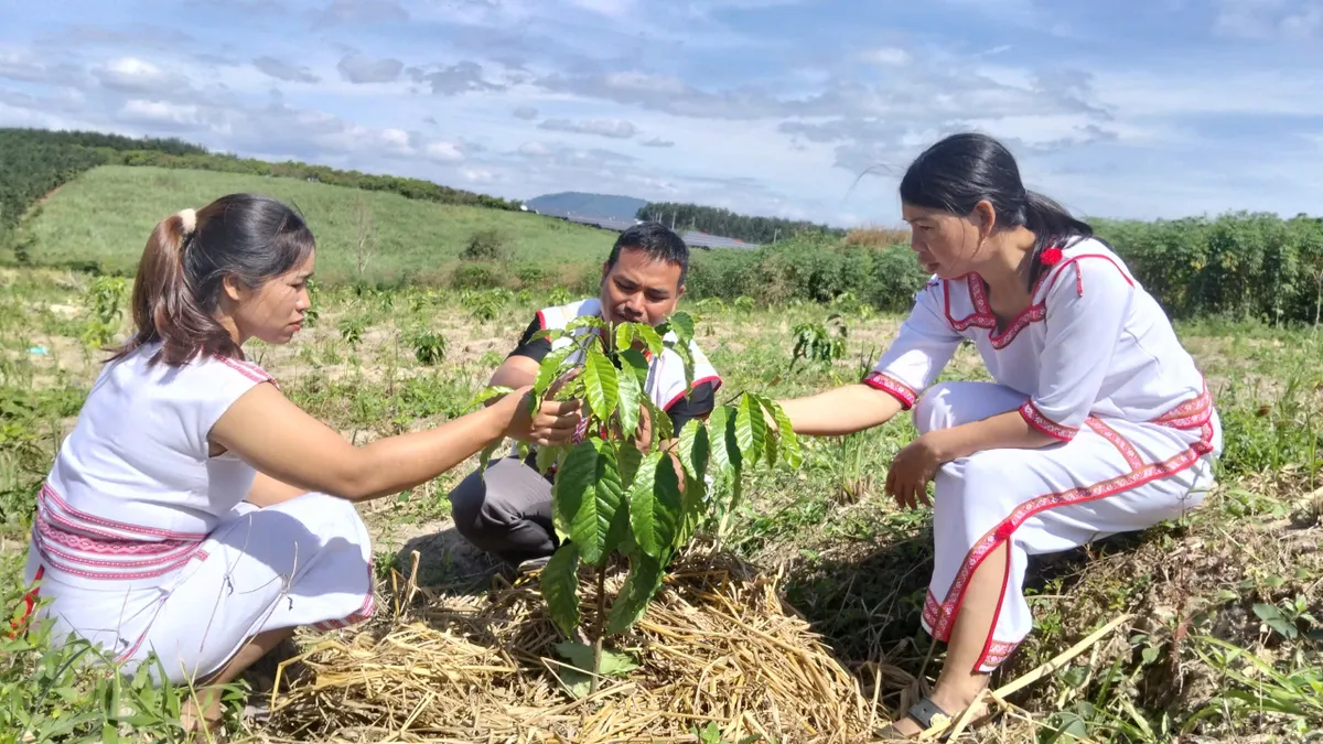 Đồng b&agrave;o Rơ Măm ơn Đảng- Ảnh 2.