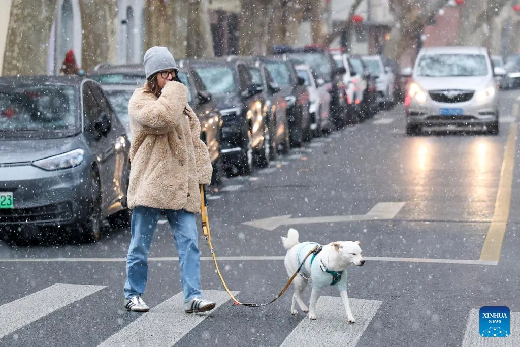R&eacute;t đậm, b&atilde;o tuyết diện rộng l&agrave;m t&ecirc; liệt nhiều nơi tại Trung Quốc - Ảnh 1.