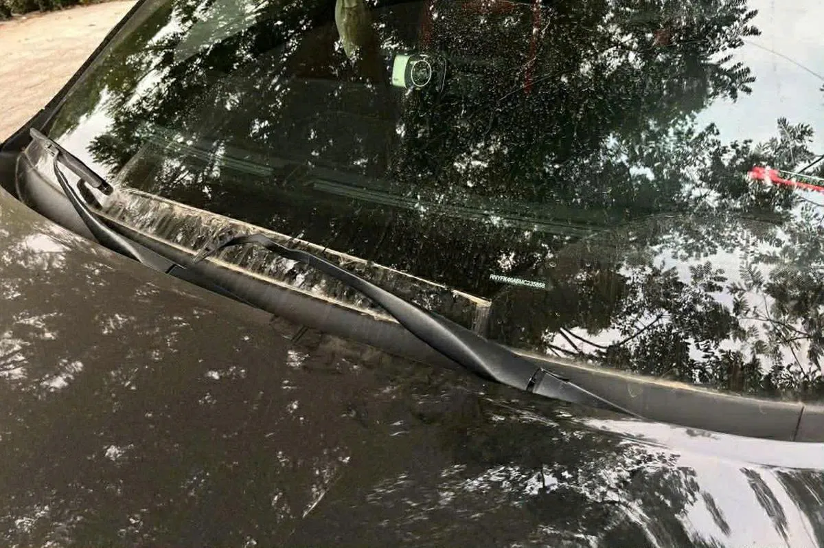 Công an vào cuộc vụ hàng loạt ô tô của cư dân chung cư Gemek 1 bị phá hoại - Ảnh 3.