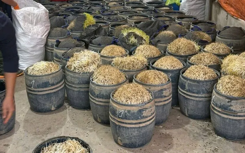 Vật chứng trong vụ án.