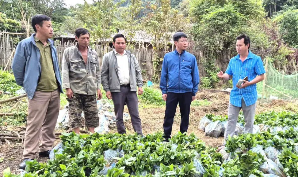 Điện Biên chú trọng phát triển đảng viên người dân tộc thiểu số - Ảnh 1.