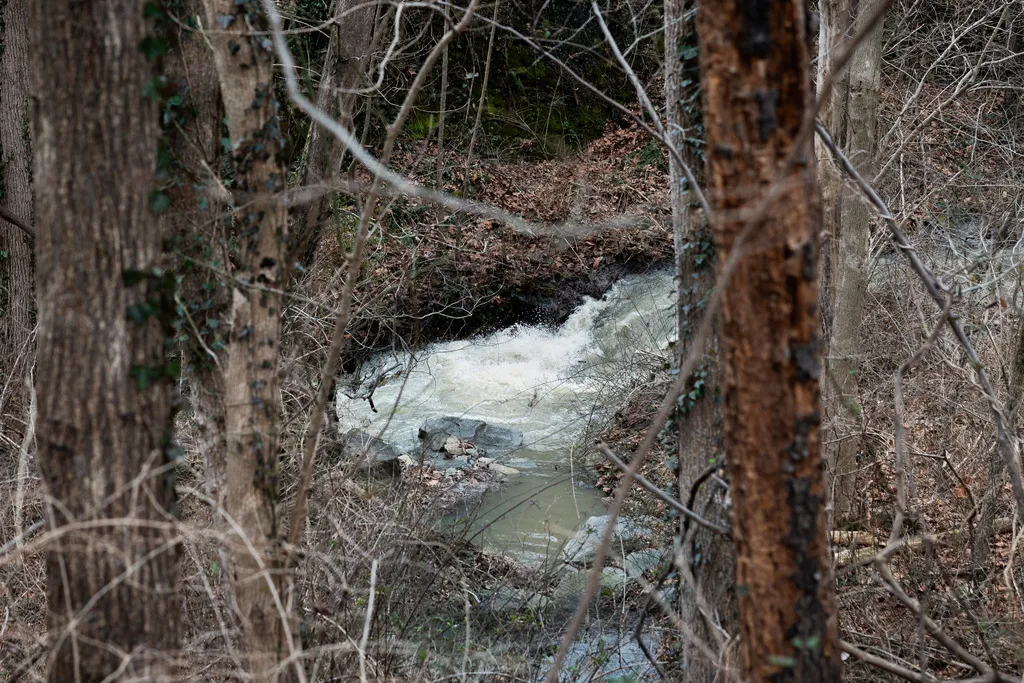 B&atilde;o m&ugrave;a đ&ocirc;ng c&agrave;n qu&eacute;t nước Mỹ, hơn 9.000 chuyến bay bị hủy- Ảnh 2.