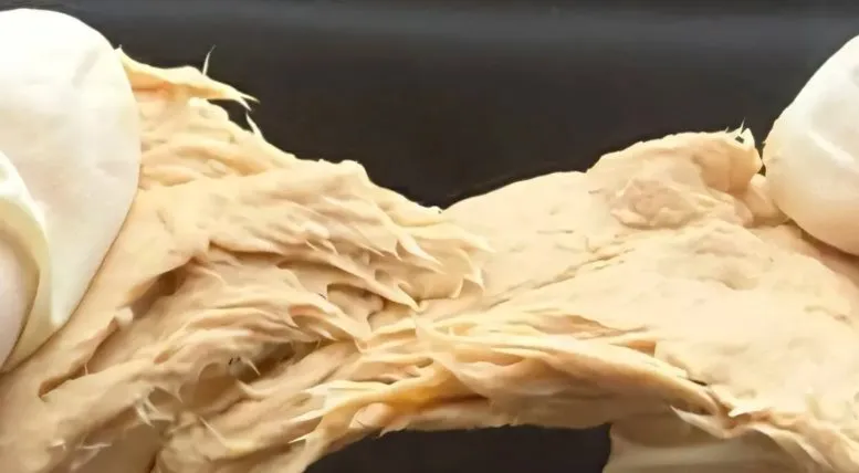 Trung Quốc ph&aacute;t triển nấm biến đổi gen gi&agrave;u protein, hương vị v&agrave; kết cấu như thịt- Ảnh 1.