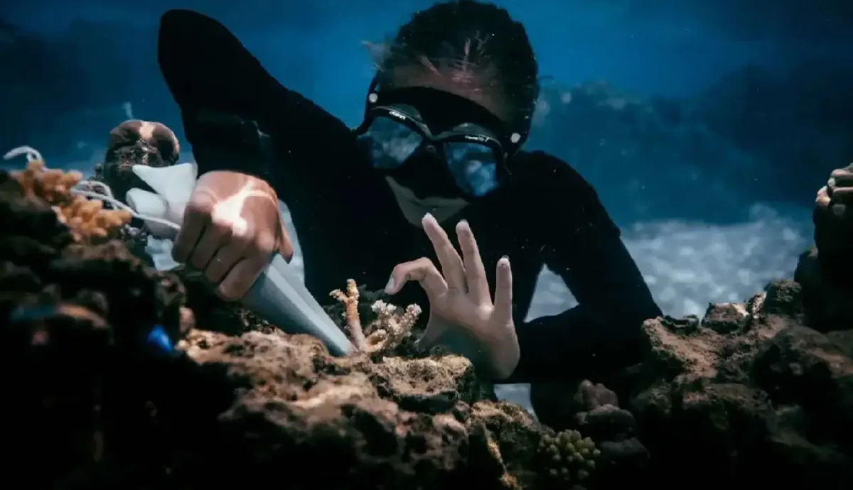 Du lịch t&aacute;i tạo: Xu hướng mới của du kh&aacute;ch hiện đại- Ảnh 2.