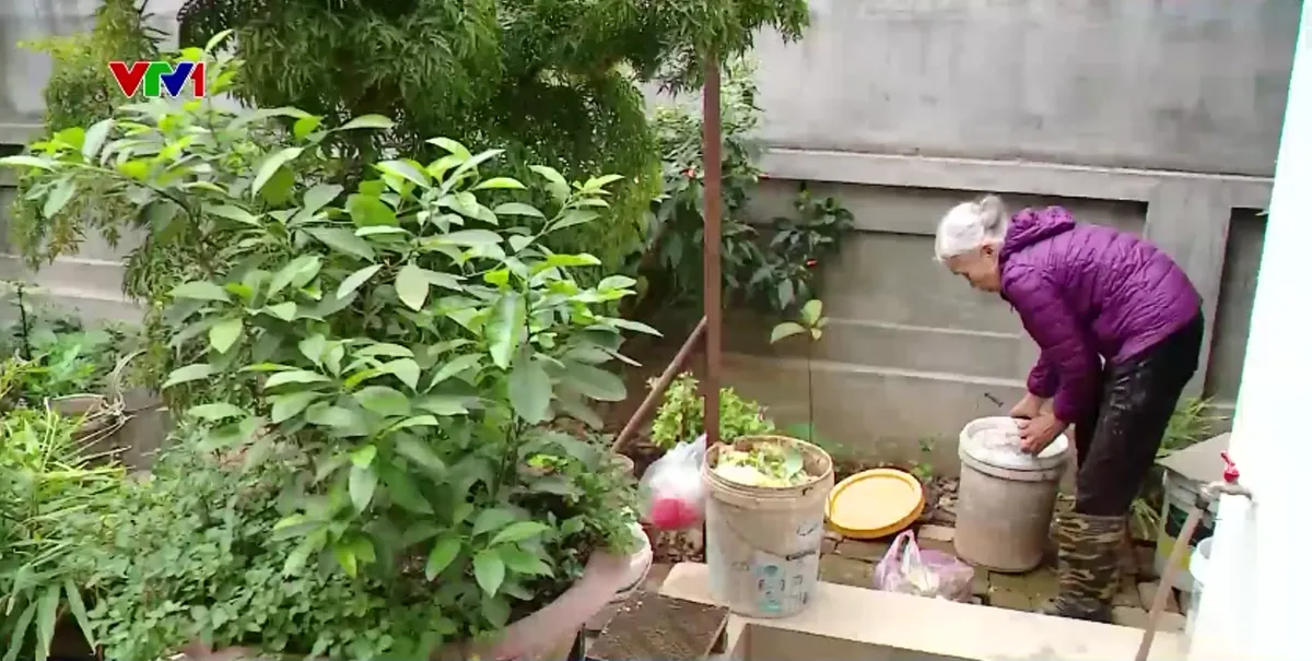 T&ocirc; xanh l&agrave;ng qu&ecirc; nhờ ph&acirc;n loại r&aacute;c tại nguồn - Ảnh 1.