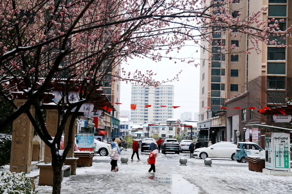 Kh&ocirc;ng kh&iacute; lạnh ảnh hưởng nhiều khu vực tại Trung Quốc- Ảnh 1.