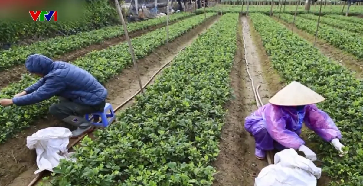 Bệnh viện trang bị m&aacute;y sưởi, chăn ấm cho bệnh nh&acirc;n trong ng&agrave;y r&eacute;t đậm- Ảnh 3.