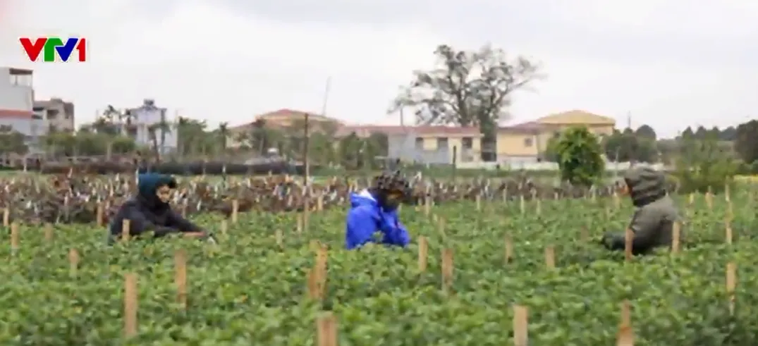 Bệnh viện trang bị m&aacute;y sưởi, chăn ấm cho bệnh nh&acirc;n trong ng&agrave;y r&eacute;t đậm- Ảnh 4.