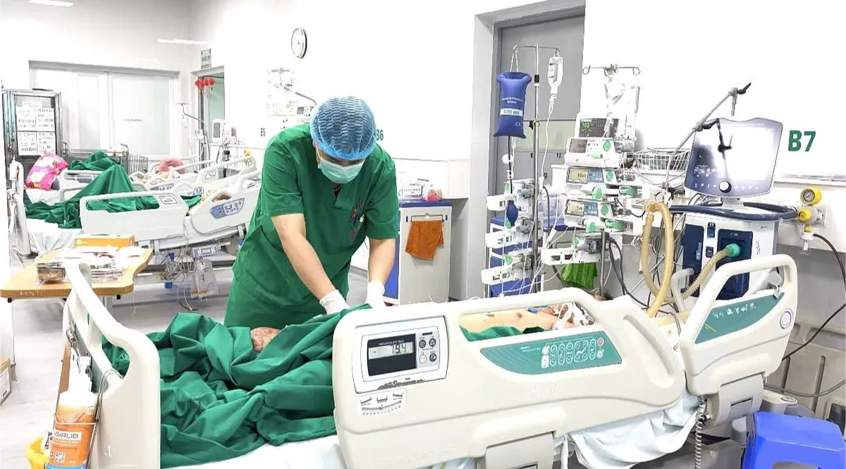 Nguy kịch v&igrave; vi khuẩn n&atilde;o m&ocirc; cầu, dễ nhầm với li&ecirc;n cầu khuẩn lợn- Ảnh 1.