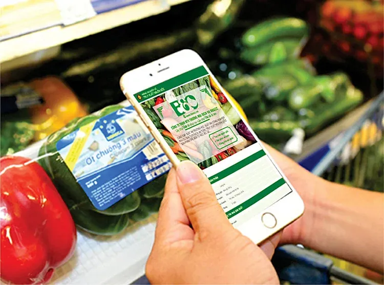 Triển khai hộ chiếu số cho sản phẩm, h&agrave;ng h&oacute;a- Ảnh 1.