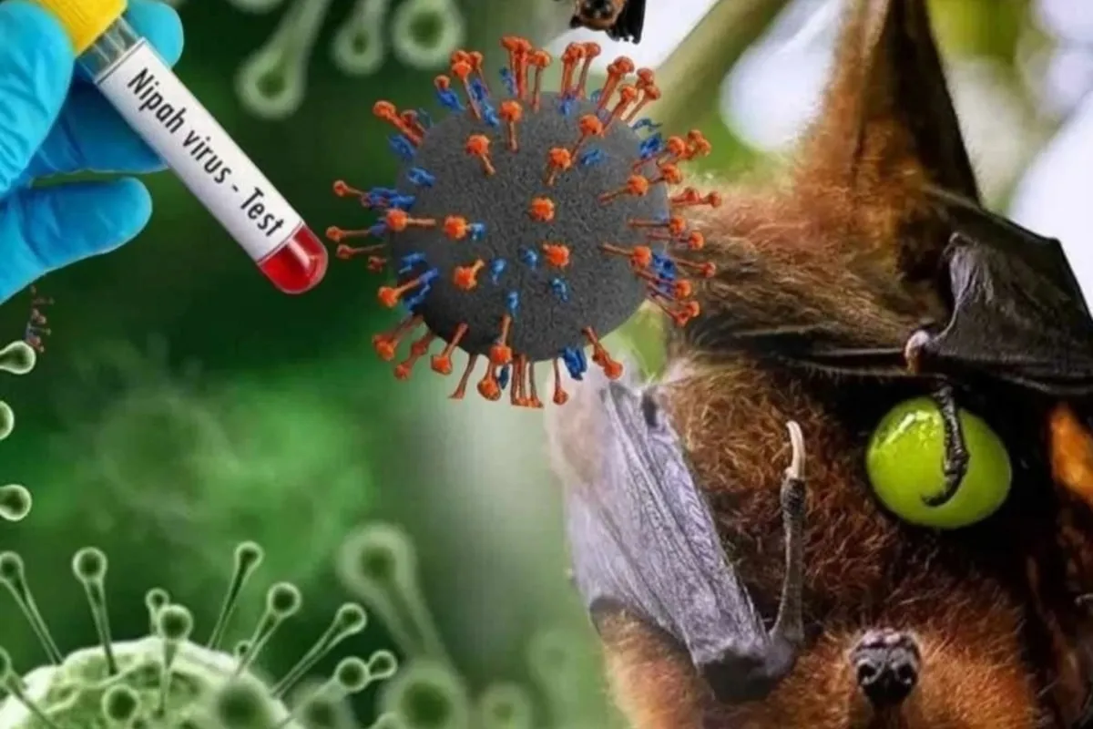 Virus Nipah nguy hiểm với tỷ lệ tử vong cao, chưa c&oacute; thuốc điều trị đặc hiệu hay vaccine- Ảnh 1.