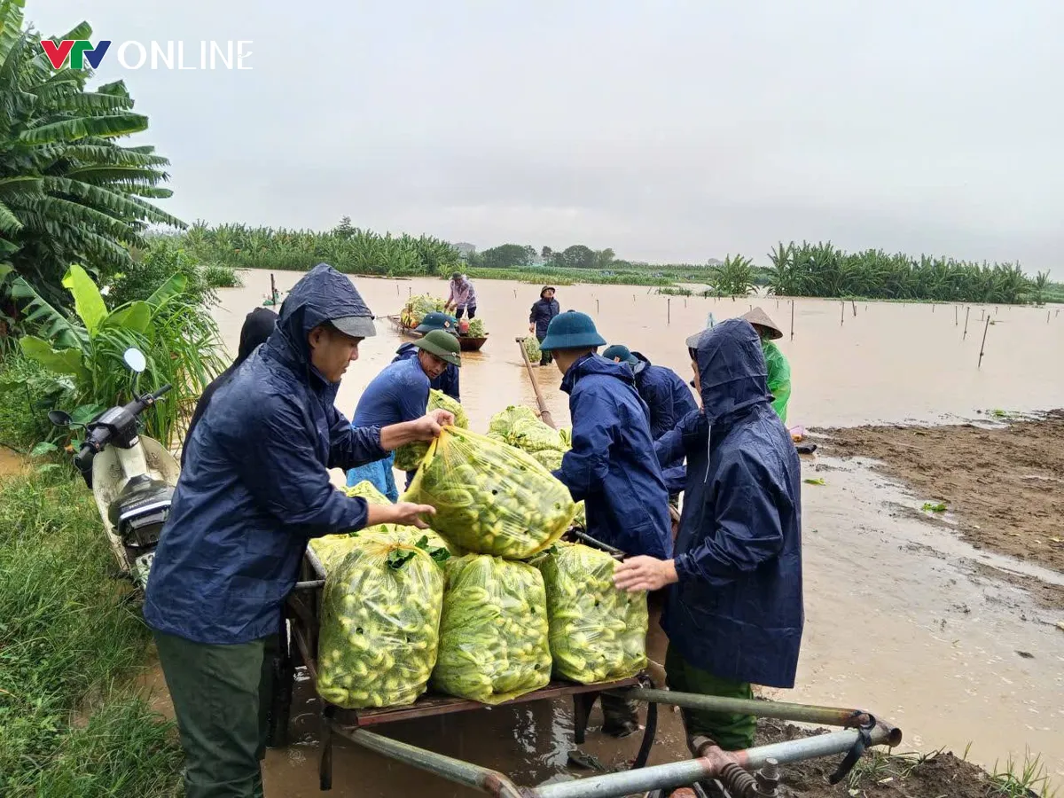 H&agrave; Nội: X&atilde; đảo Minh Ch&acirc;u sau 6 th&aacute;ng vận h&agrave;nh ch&iacute;nh quyền địa phương 2 cấp - Ảnh 2.