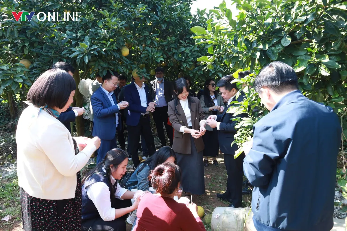 H&agrave; Nội: X&atilde; đảo Minh Ch&acirc;u sau 6 th&aacute;ng vận h&agrave;nh ch&iacute;nh quyền địa phương 2 cấp - Ảnh 7.