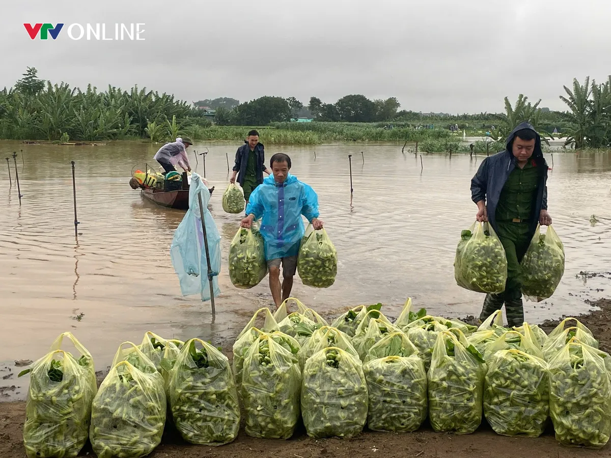 H&agrave; Nội: X&atilde; đảo Minh Ch&acirc;u sau 6 th&aacute;ng vận h&agrave;nh ch&iacute;nh quyền địa phương 2 cấp - Ảnh 3.
