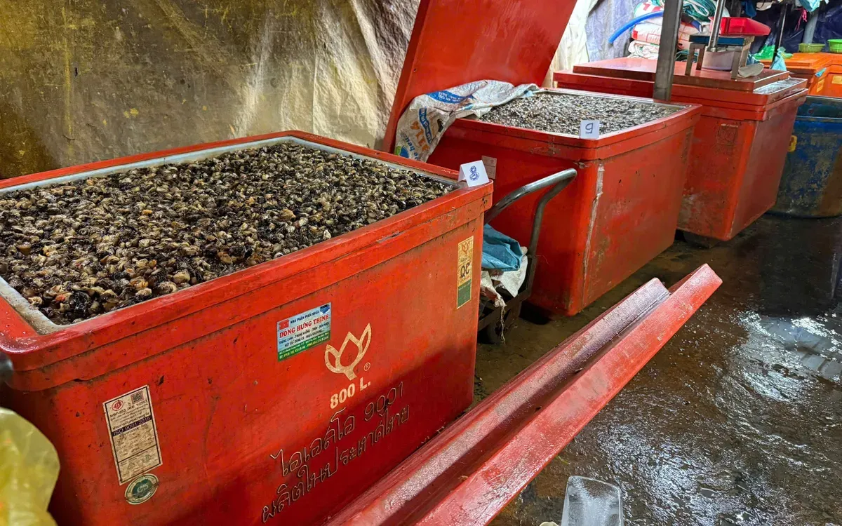 C&ocirc;ng an TP.HCM triệt ph&aacute; đường d&acirc;y ng&acirc;m ốc bươu bằng h&oacute;a chất c&ocirc;ng nghiệp quy m&ocirc; lớn- Ảnh 1.