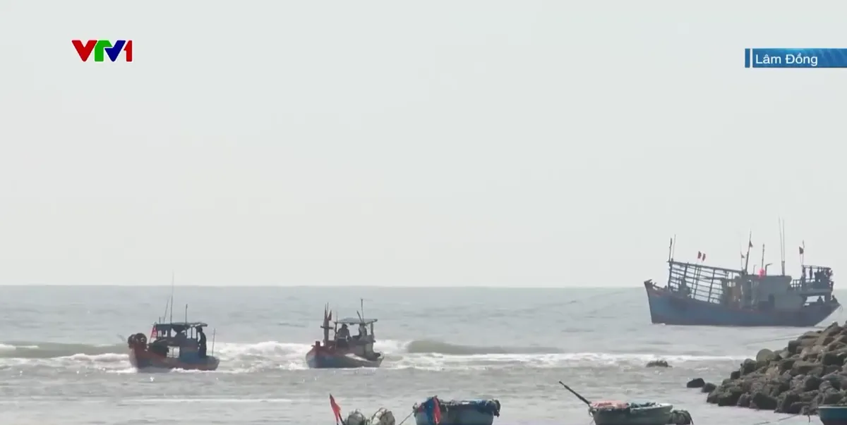 Luồng lạch cửa biển La Gi bị bồi lấp, t&agrave;u thuyền ra v&agrave;o gặp nhiều kh&oacute; khăn- Ảnh 2.