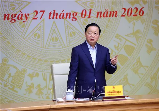 Đẩy mạnh hoàn thiện thể chế, quản lý và giám sát trong chống khai thác IUU - Ảnh 2.