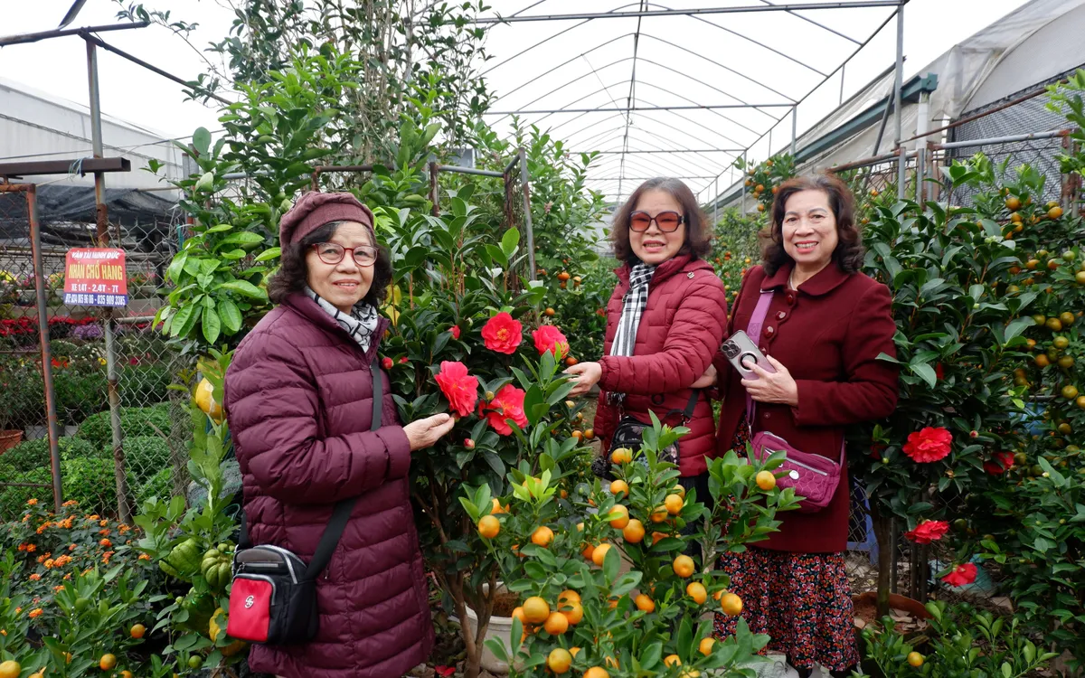 Làng hoa Xuân Quan nhộn nhịp du khách.