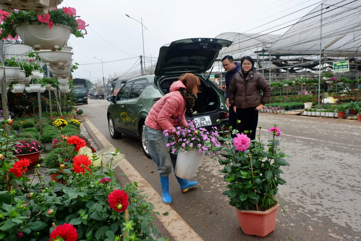L&agrave;ng hoa Xu&acirc;n Quan nhộn nhịp trước Tết - Ảnh 1.