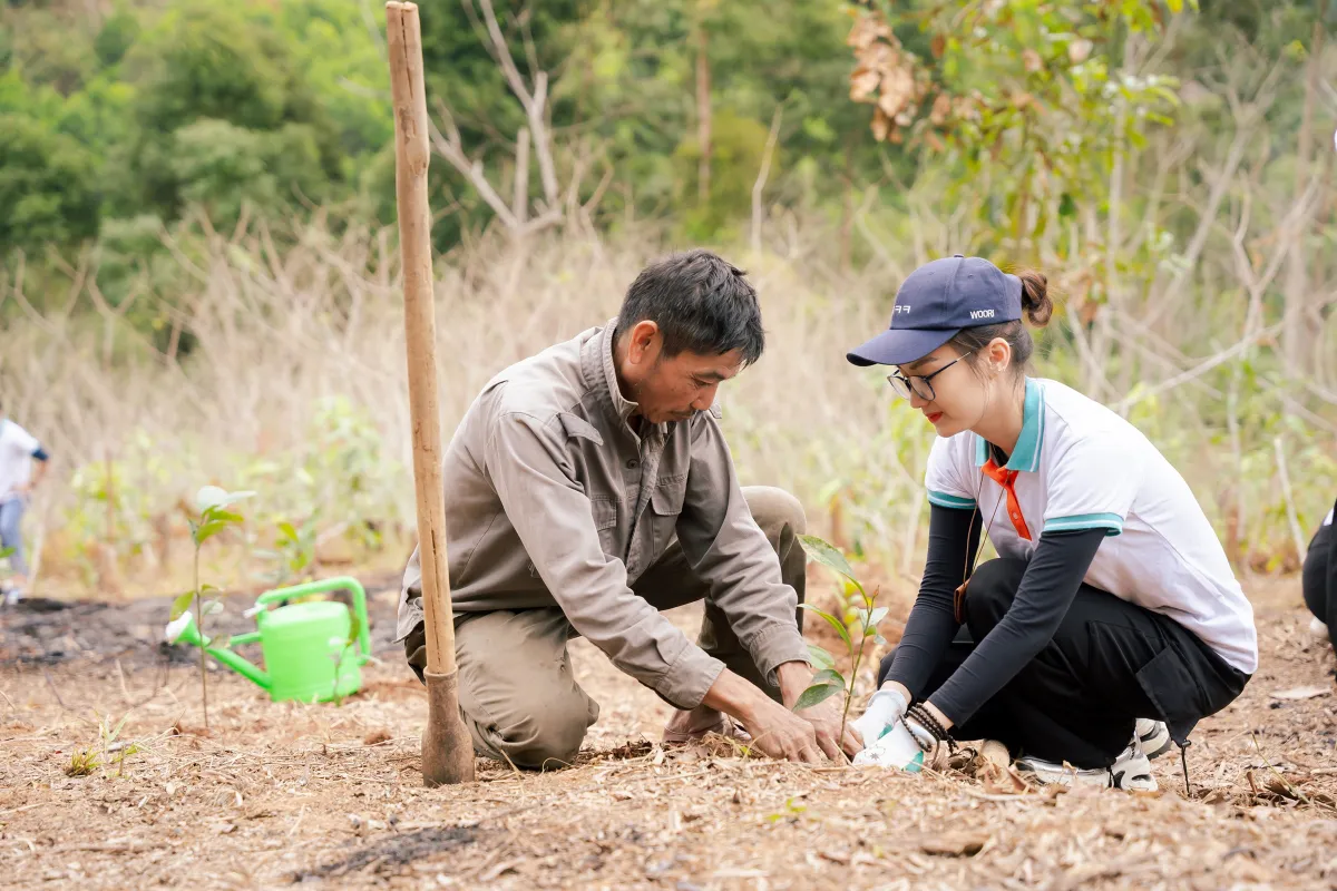Nghệ An: 100.000 c&acirc;y xanh được trao tặng th&ocirc;ng qua chương tr&igrave;nh Tết An B&igrave;nh 2026 - Ảnh 1.